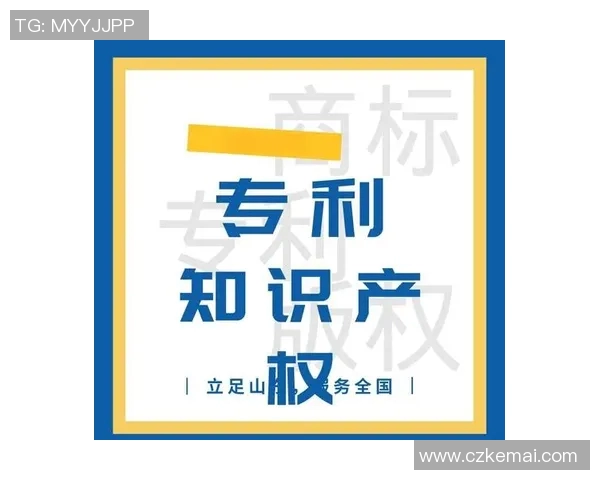 知识产权保护在数字经济时代的创新发展与挑战分析