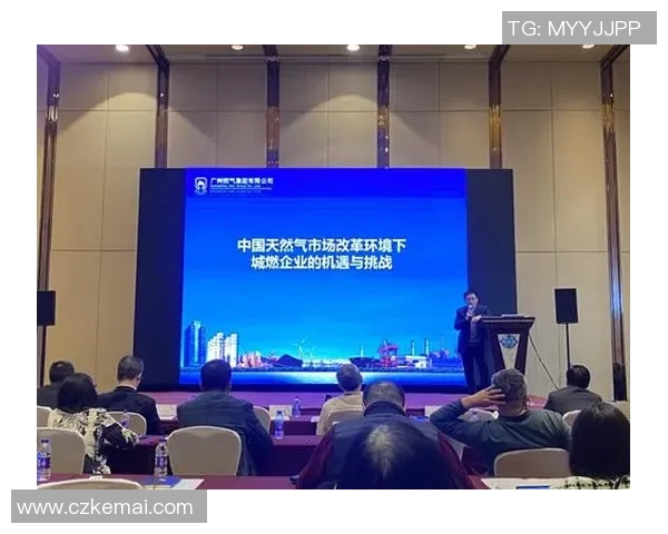 全球挑战赛特别报道:探索LNG产业崛起背后的机遇与挑战 全球挑战赛特别报道:探索LNG产业崛起背后的机遇与挑战