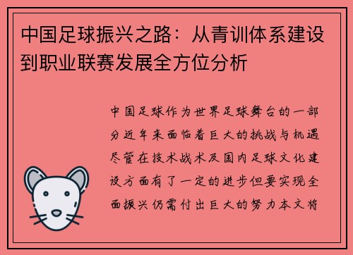 中国足球振兴之路：从青训体系建设到职业联赛发展全方位分析